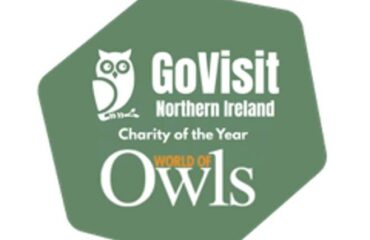 721209386_1415546953949817_3845243233605934298_n Go Visit World of Owls