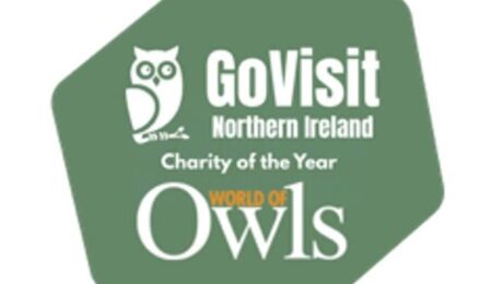 721209386_1415546953949817_3845243233605934298_n Go Visit World of Owls